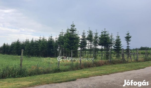 Kéthelyi 1715 nm-es telek eladó