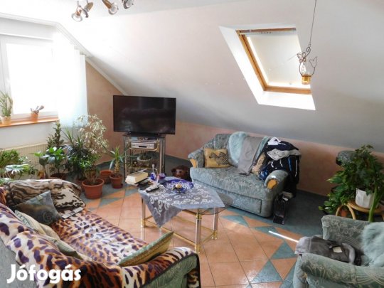 Kétlakásos családi ház működő üzlettel eladó Pápán!