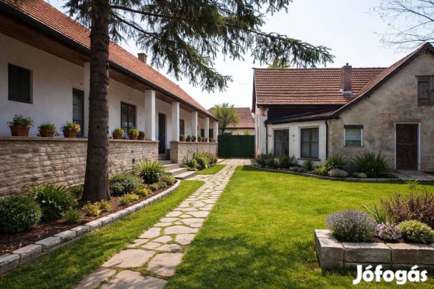 Kétlakásos ház nagy telekkel Adony rengeteg lehetőséggel!