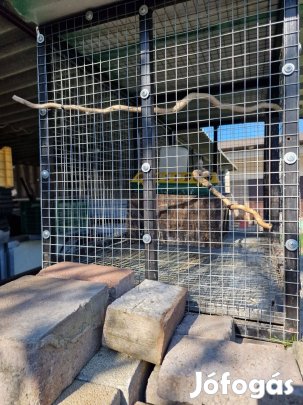 Ketrec kalitka eladó