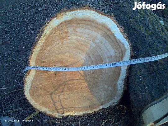 Kézműves eper alapanyag