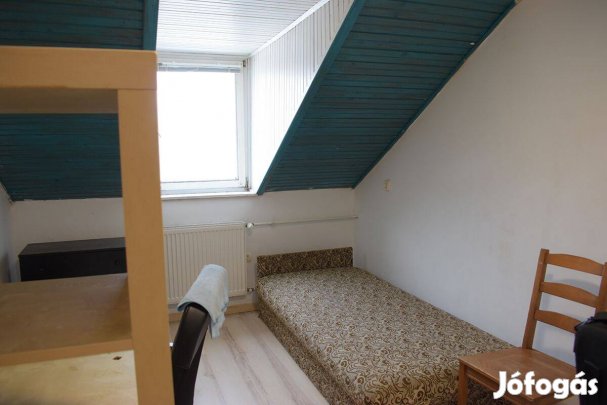 Kiadó 1 szoba