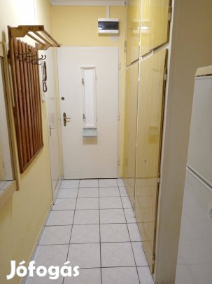 Kiadó 2 szobás panel lakás Pécs Egyetemváros frekventált részén