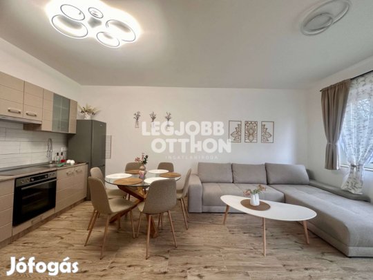 Kiadó 3 szobás földszinti új építésű teraszos lakás Cegléden