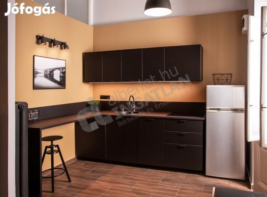 Kiadó 41 nm-es, felújított lakás a Bartók Béla út elején