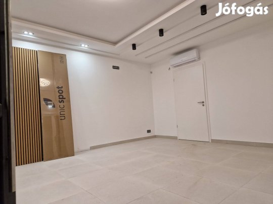 Kiadó 42NM Üzlethelyiség 16.KER. Főútvonalon