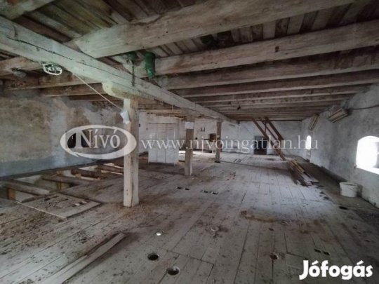 Kiadó 450 nm-es Raktár Sóly