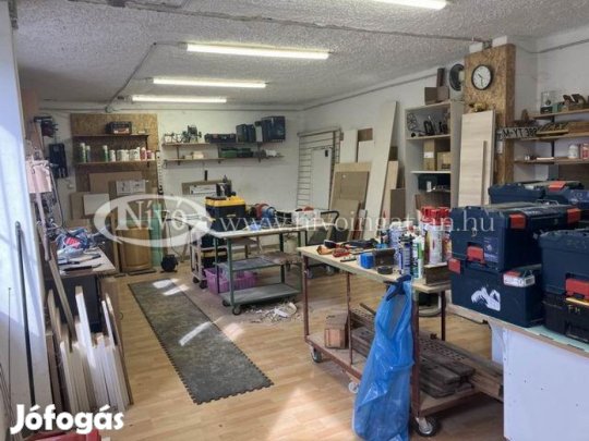 Kiadó 50 nm-es Műhely Veszprém