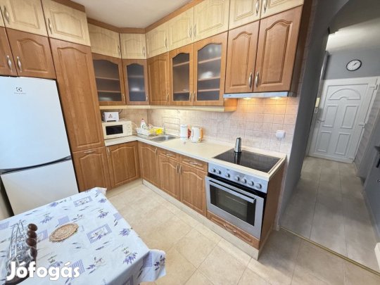 Kiadó 54 nm-es panel lakás Paks