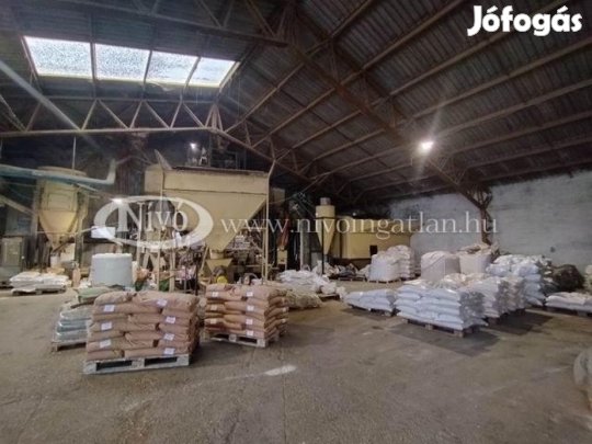 Kiadó 800 nm-es Raktár Ajka