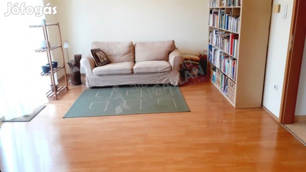 Kiadó Alsó határúton lakóparki lakás XX. kerületben!