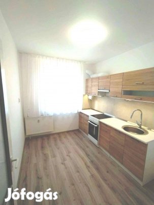 Kiadó Cívis utca 2 szám alatti ingatlan