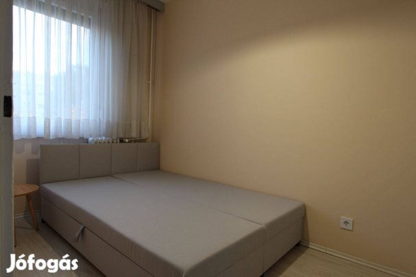 Kiadó Debrecen belvárosában Nappali + hálószobás rendezett, gépesített