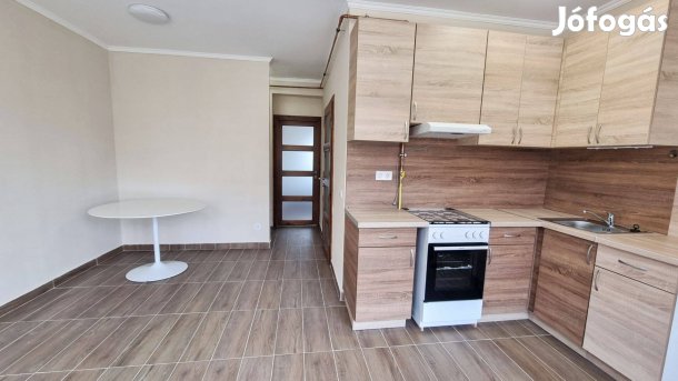 Kiadó Igényes Lakás saját Kocsibeallóval Nyíregyháza,
