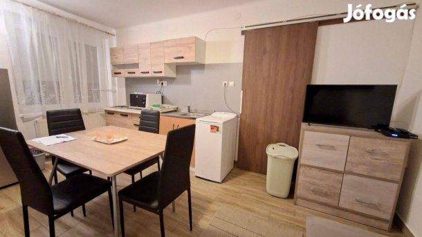 Kiadó Remény utcában önálló 1 szobás berendezett garzon férfilakónak