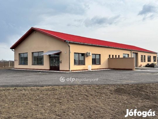 Kiadó Telephely, Gyula