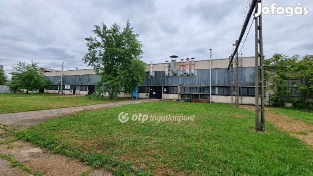 Kiadó Üzem, Berettyóújfalu