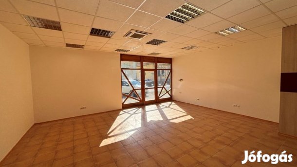 Kiadó Üzlethelyiség, Békéscsaba