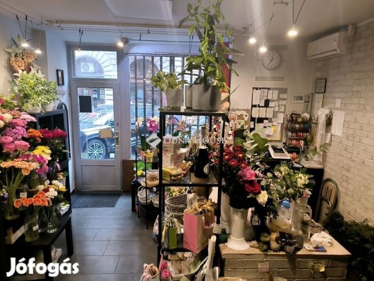 Kiadó Üzlethelyiség, Budapest 5. ker.