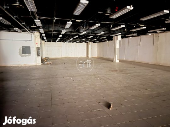 Kiadó Üzlethelyiség, Szeged 8.472 Ft