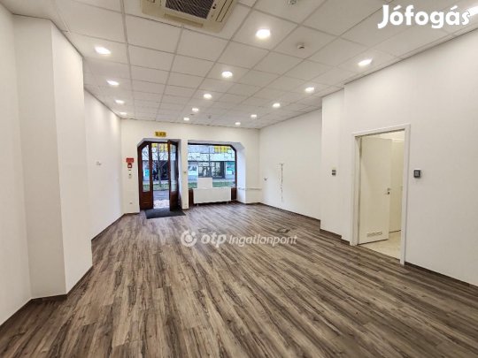 Kiadó Üzlethelyiség, Szolnok