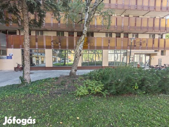 Kiadó, modern üzlethelyiségek Békéscsaba szívében, a Nagy Imre téren!