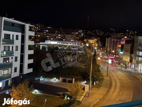 Kiadó a XI ker Naprózsa utcában 2,5 sz lakás.