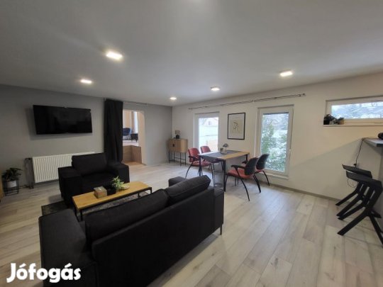 Kiadó belvárosközeli kertes, zöldövezeti téglalakás