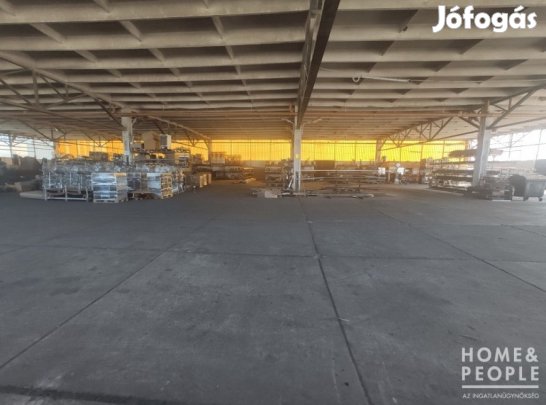 Kiadó csarnok irodával! - Makó
