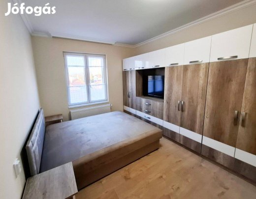 Kiadó felújított lakás az Egészségügyi Kar mellett!