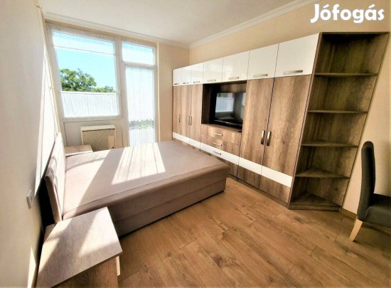 Kiadó garzonlakás a Vasvári Pál utcán! (Tulajdonostól, számlaképesen!)