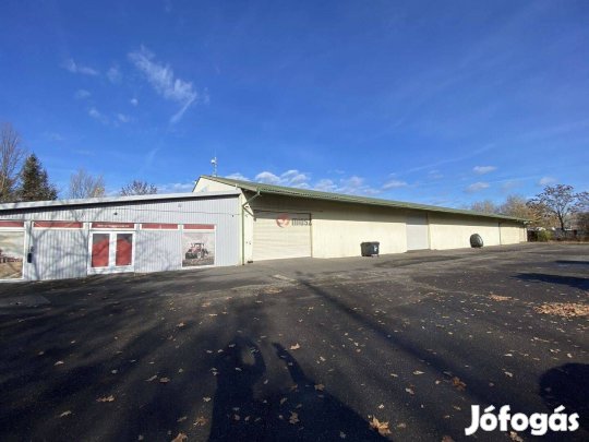 Kiadó ipari, Békéscsaba Erzsébethely, 2300000 Ft, 1500 nm 680_koimp
