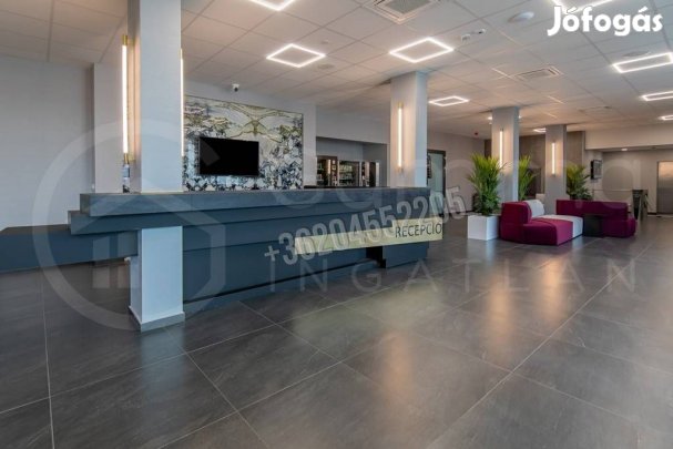 Kiadó iroda, Miskolc Zsolcai kapu, 64000 Ft, 16 nm 1037_gaimp
