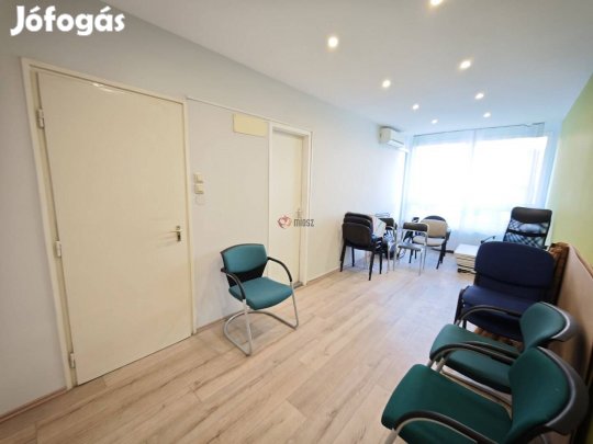 Kiadó iroda, Szeged Szeged Belváros, 129200 Ft, 38 nm 59_fwh