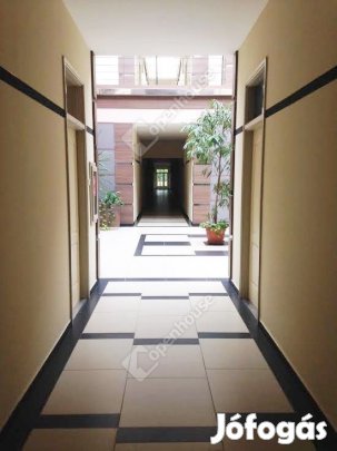 Kiadó irodák 15,5 m2-től 43 m2-ig.