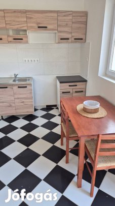 Kiadó kertes ház Abony