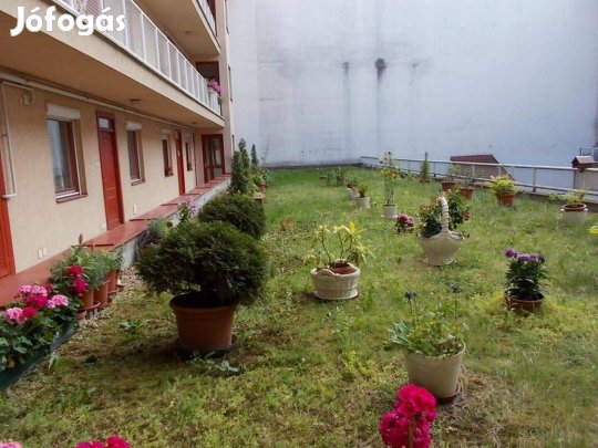 Kiadó lakás, Békéscsaba Békéscsaba-Belváros, Andrássy út, 16 681_koimp