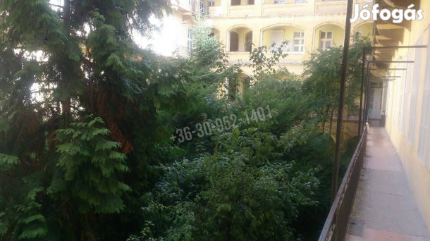Kiadó lakás, Budapest, 6. kerület  Terézváros (Nagykörúton bel 36143_v