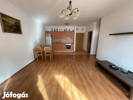 Kiadó másfél szobás lakás a Petneházy utca 28 alatt