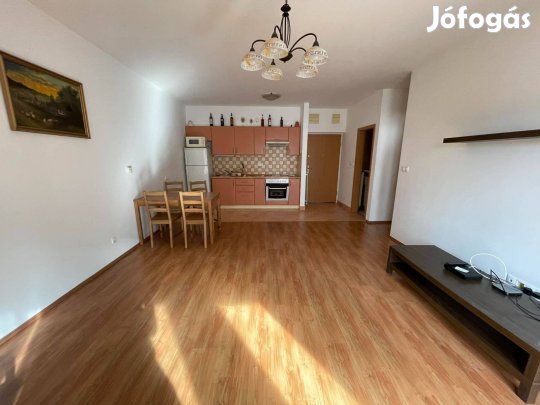 Kiadó másfél szobás lakás a Petneházy utca 28 alatt