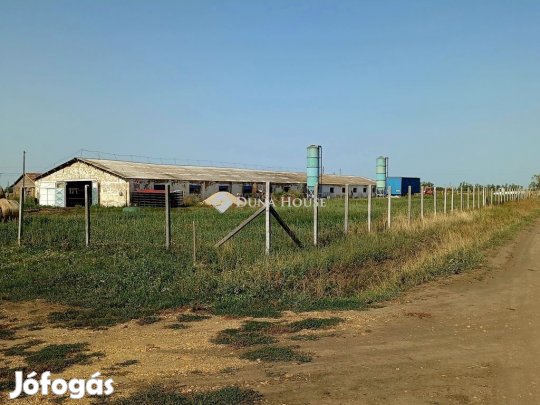 Kiadó mezőgazdasági, Sárrétudvari