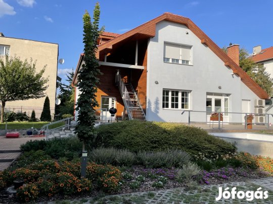 Kiadó prémium tetőtéri lakás irodai célra  Budapest XIV., Alsórákos