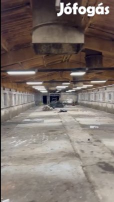 Kiadó raktár, csarnok, műhely