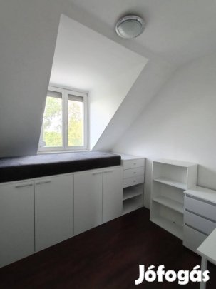 Kiadó szoba, Debrecen, Károli Gáspár utca