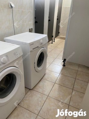 Kiadó szobák 1-2-3-4 ágyasak!