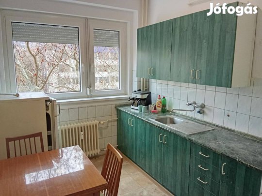 Kiadó tágas, világos lakás a belvárosban