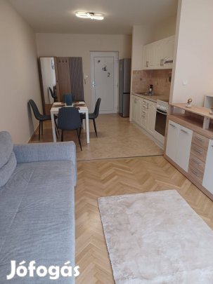 Kiadó tégla lakás, Győr, Riesz Frigyes utca