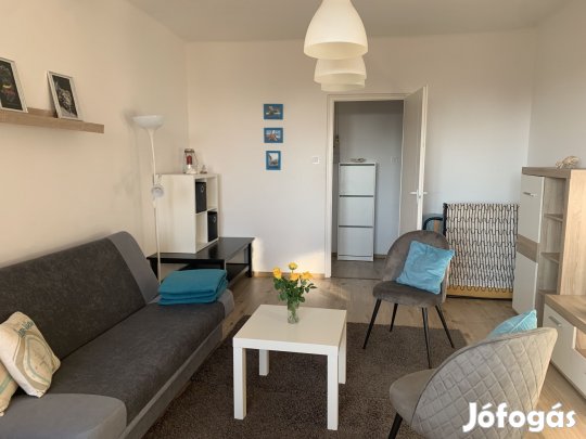 Kiadó téglalakás, Eger