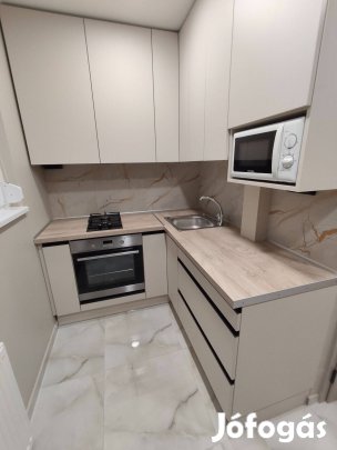 Kiadó teljes körűen felújított garzon lakás a Kurcz utcában!