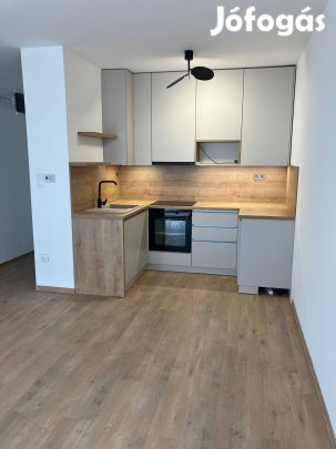 Kiadó új győri tégla lakás